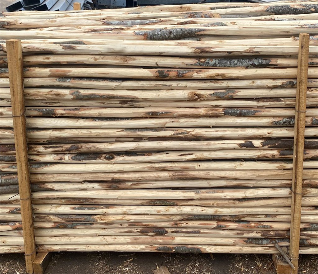 PALI CASTAG.SCOR.H200 03/05 CP.